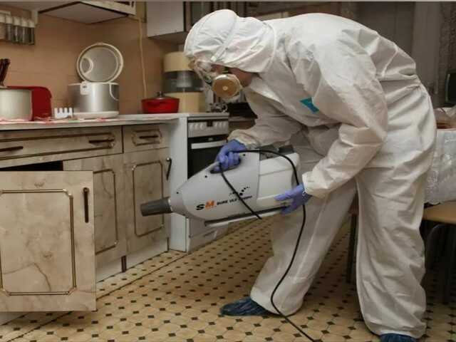 уничтожить блох